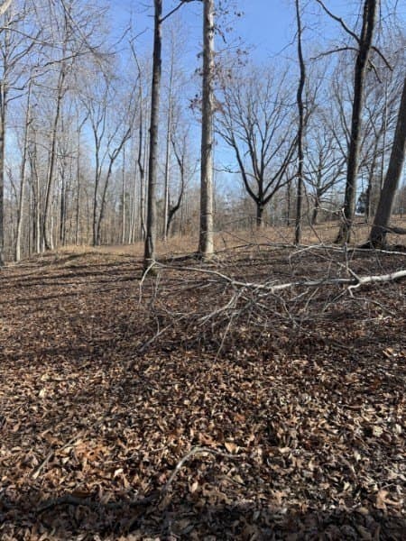 Old Highway 96, Franklin