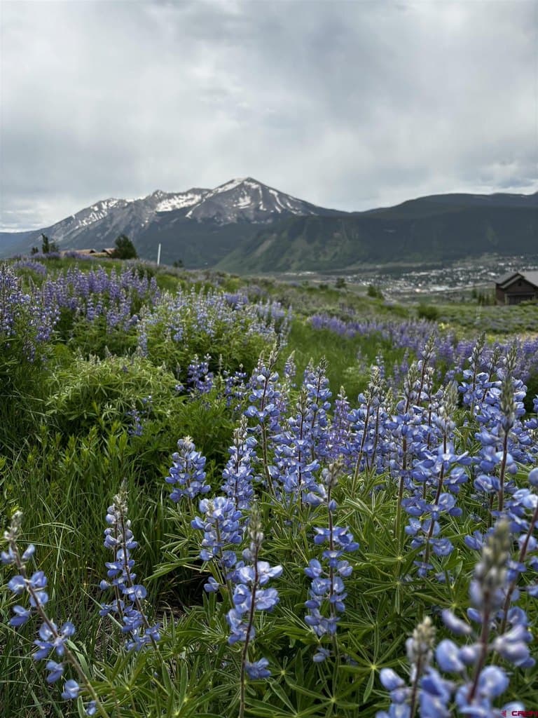 57 Summit Rd, Crested Butte