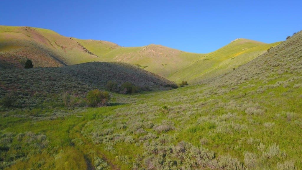 100 Water Gulch Rd