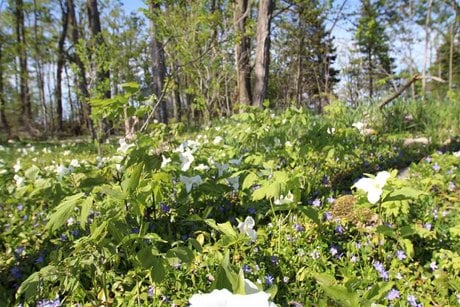 1926 Farm View Ln Lot 7