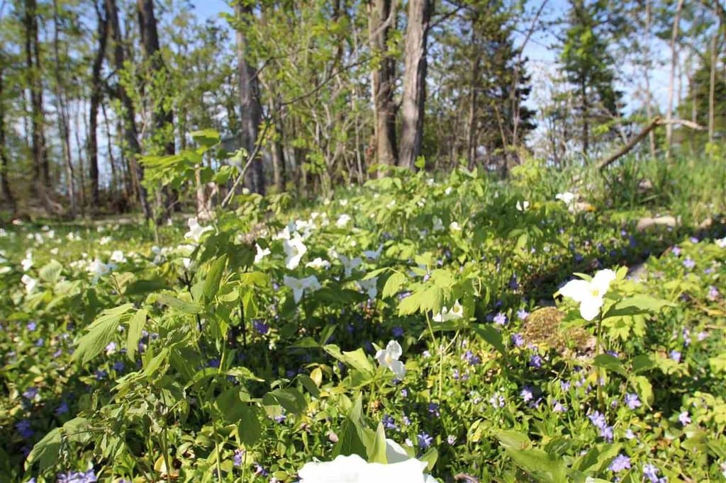 1926 Farm View Ln Lot 7